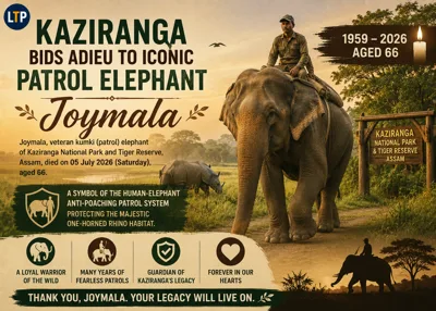 Kaziranga bids adieu to iconic patrol elephant Joymala